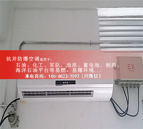 冷庫房防爆空調(diào)機(jī)案例圖